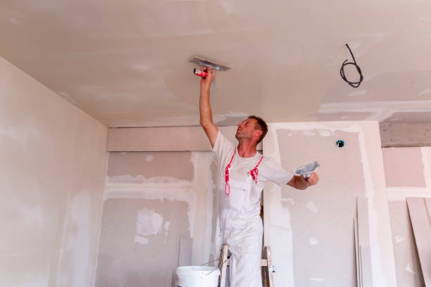 Best Eco-Friendly and Low-VOC Painting  in Medford, WI